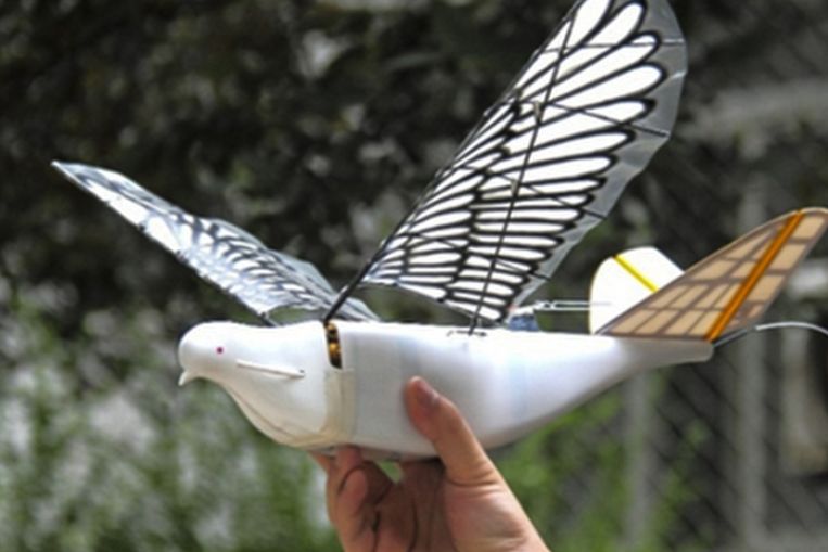 De duifdrone Dove van Northwestern Polytechnical University. Beeld RV