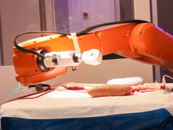 Minuscule robot kan patiënt straks afhelpen van bloedprop