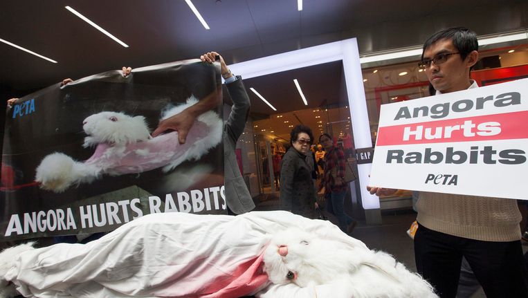 Activisten van Peta protesteren tegen agorawol in Hong Kong in 2014. Beeld EPA
