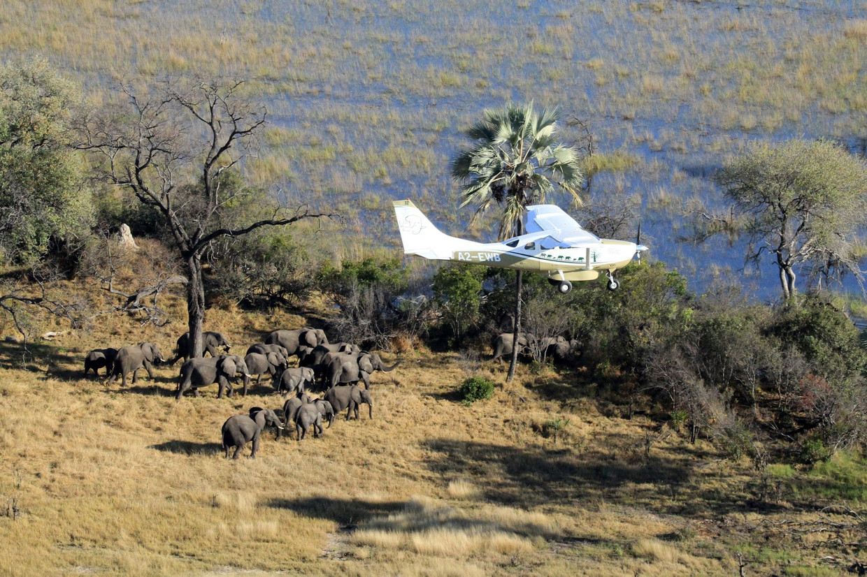 Een vliegtuigje met wetenschappers van de grote olifantentelling Great Elephant Census. Beeld AP