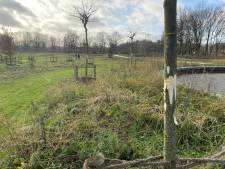 Politie heeft beet: verdachte (40) van vernielen van zo’n honderd bomen aangehouden