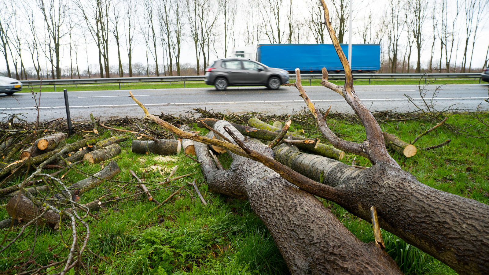 Auto Geraakt Door Omgevallen Boom Op Snelweg A50 Tussen Zwolle En 