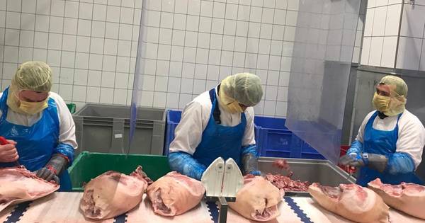 Brabants nieuws van vrijdag | Van Rooi Meat Helmond voorlopig dicht - Een drugslab in de manege - Ei