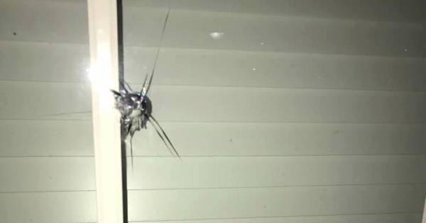 #schietincident  Slachtoffer(s) geen Daders 3 #schietpartij #spijkenisse #ZuidHolland  Jongens schieten op woningen in Spijkenisse.