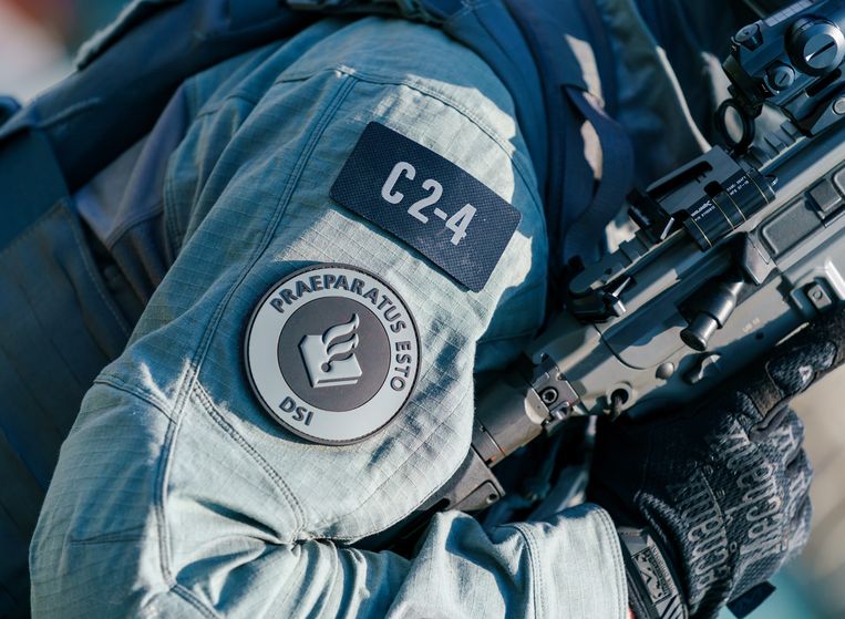 Leden van de Dienst Speciale Interventies, die onder meer kan optreden bij het arresteren van terrorismeverdachten. Beeld Hollandse Hoogte /  ANP