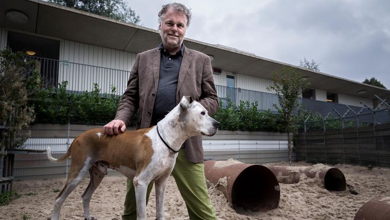 Dierenasiel Amsterdam Worstelt Met Vechthonden Het Parool
