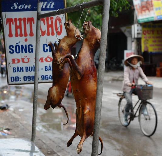 Vente de viande de chien dans une rue de Hanoï (archives)