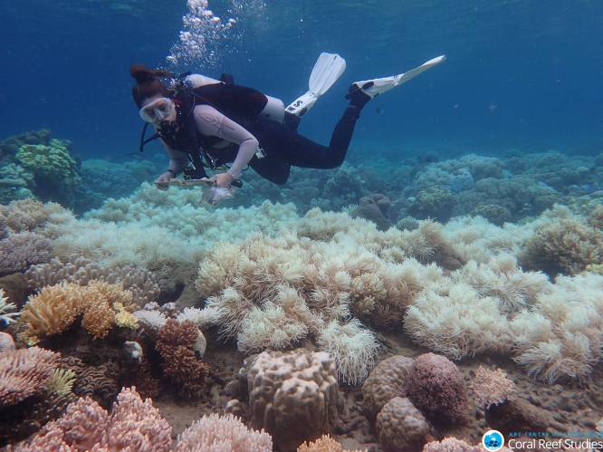 Nu moeten ook grote ventilatoren Great Barrier Reef redden