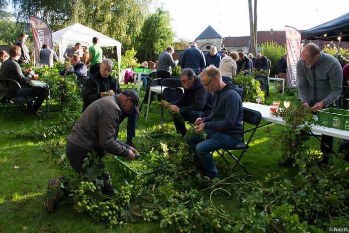 Hoppluk 2022 in tuin van de abdij in Grimbergen
