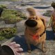 Pixar onthult de stiekeme verwijzingen naar toekomstige films