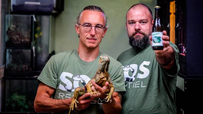 Drie dierenorganisaties krijgen van Brugge officiële erkenning, waaronder ook SOS Reptiel in Ichtegem 