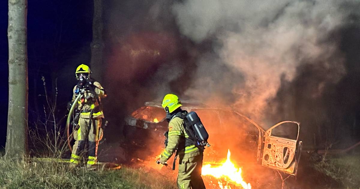 Auto vliegt in brand na botsing tegen boom, inzittenden net op tijd uit voertuig.