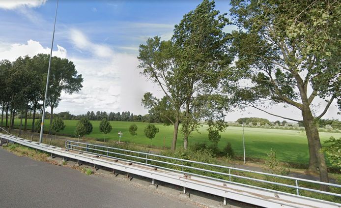 De weide gezien vanaf de A12, vlak voor de afslag Nootdorp.