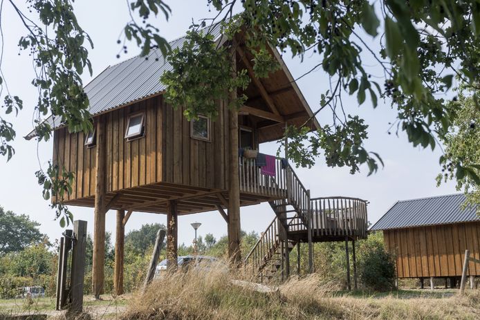 De hoogtijdagen van de traditionele stacaravans zijn ook bij ’t Mölke voorbij. Daar komen bijzondere accommodaties voor in de plaats, zoals boomhutten.