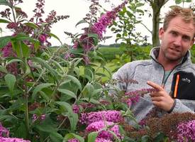 Boer Tom onthult zijn favoriete plant