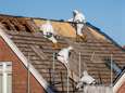 270.000 Vlaamse gezinnen mogen door asbestdak geen zonnepanelen plaatsen: “Demir laat hen in de kou staan”
