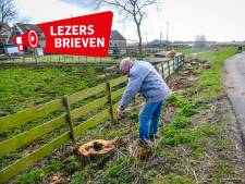 Lezers woest over kappen knotwilgen door notabene Natuurmonumenten: ‘Domme onnodige actie’