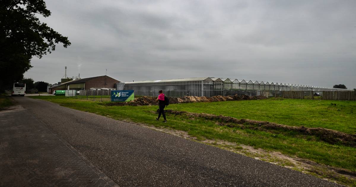 Toch bedden voor arbeidsmigranten in Helenaveen: voorlopig kan komkommerboer lachen