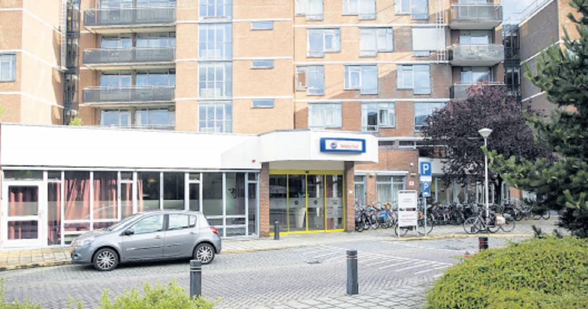Paradepaardje is nu allerslechtste verpleeghuis | Delft | AD.nl