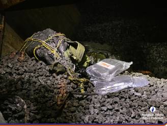 Politie ontdekt lading coke met straatwaarde van meer dan 2 miljoen euro in Colombiaans kolenschip 