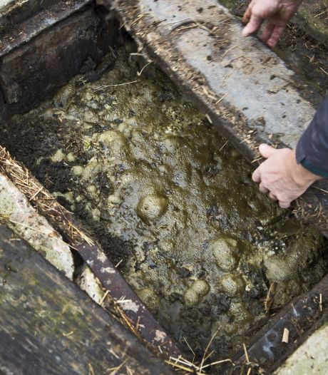 Benut de alternatieven voor dure kunstmest