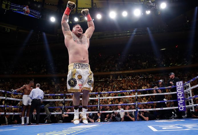 Andy ruiz vs chris arreola