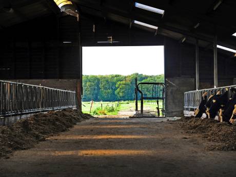 Stikstofregels steeds verder onder druk