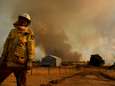 Les feux de forêt en Australie ont coûté la vie à des centaines de personnes