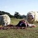 Black Sheep
