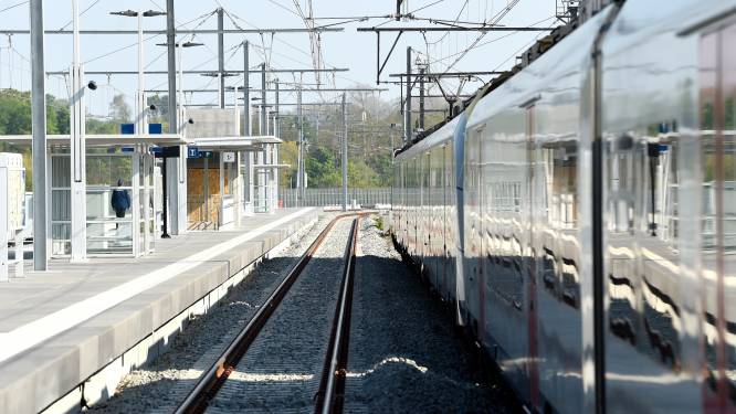 Circulation des trains entre Waremme et Ans à cause de branches sur une caténaire