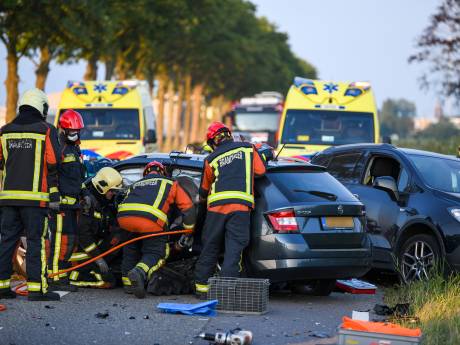 Loslopende hond die zware crash veroorzaakte droeg schokhalsband: ‘Dit had niet mogen gebeuren’