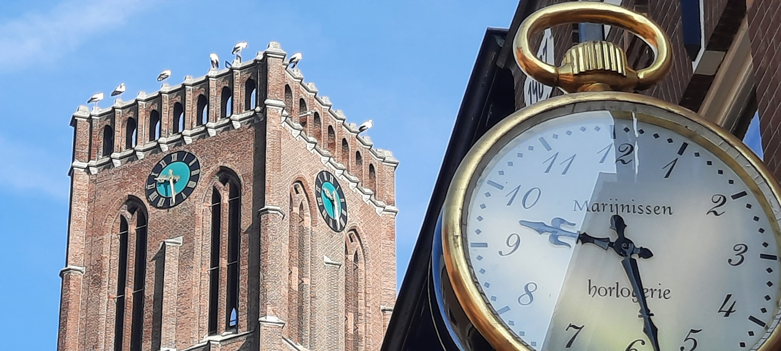 De ooievaars, gezien vanuit de Kerkstraat in Oss.