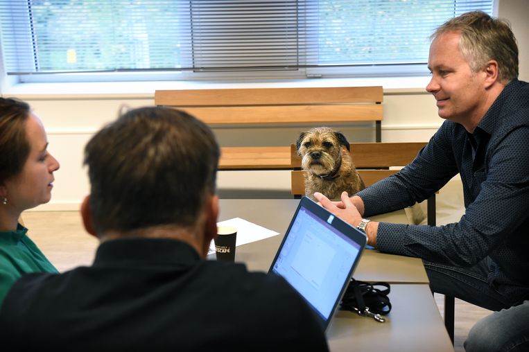 Bij Nestlé mogen werknemers hun hond mee naar kantoor nemen. Het verbetert de werksfeer en de balans tussen werk en privé.  Beeld Marcel van den Bergh
