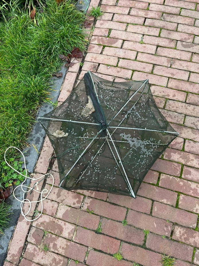 Het achtergelaten visnet waar de jonge zwaan in zat.