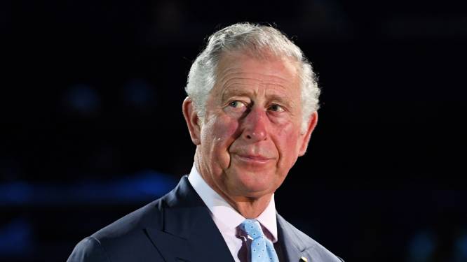 ‘Charles wil kleinere koninklijke familie, zonder Harry en Meghan’