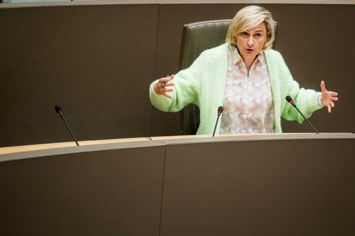 Vlaams minister van Economie Hilde Crevits (CD&V).