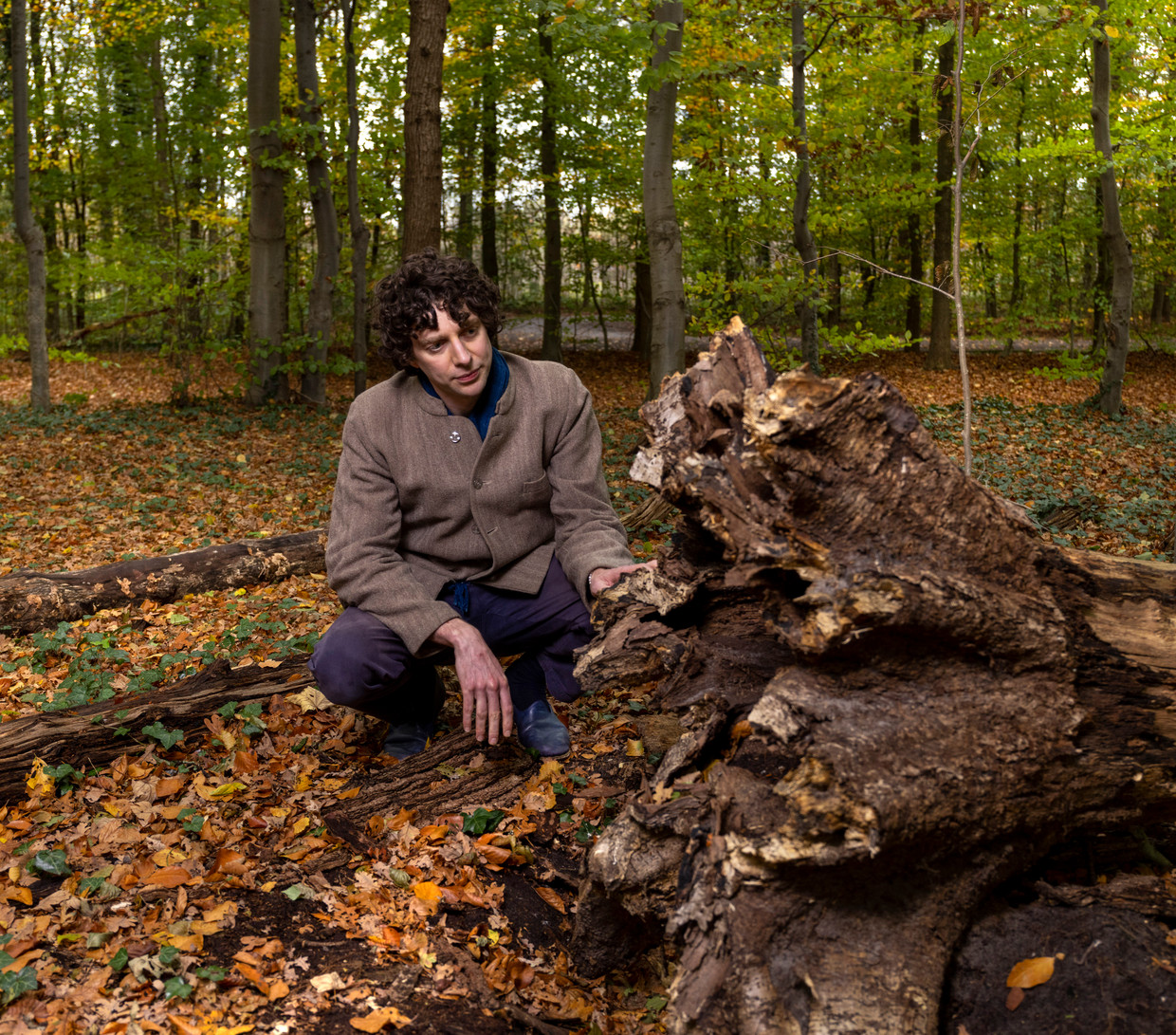 Nederland, Baars, 10 november 2022. Merlin Sheldrake schimmelexpert.  Beeld Werry Crone