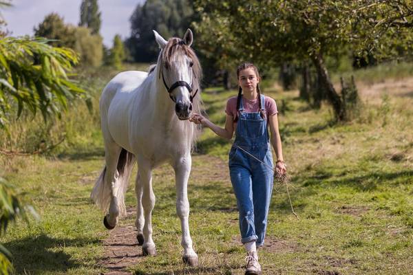 Zappbios: Silverstar