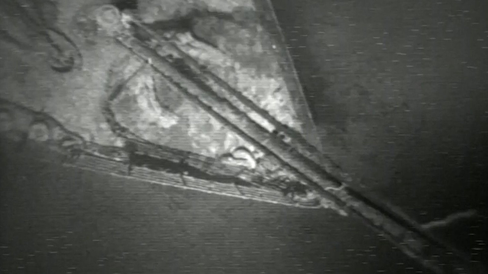 Video van de Dag Zeldzame oude