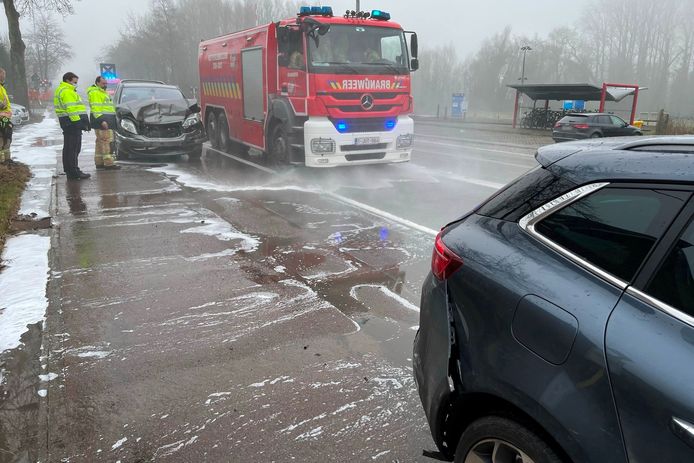 Een remmanoeuvre voor een overlopende hond ter hoogte van de treinhalte Vijfhuizen langs de Gentsesteenweg in Erpe was de oorzaak van een aanrijding.