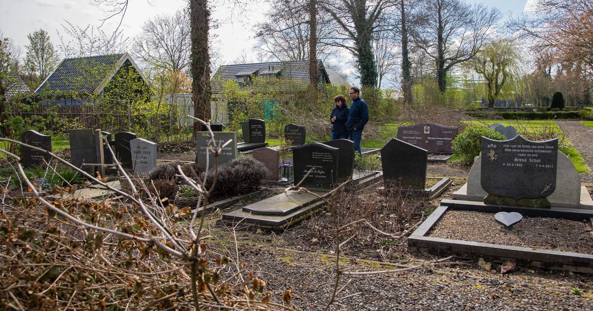 Hulst laat takkenbende op begraafplaats Kloosterzande lang liggen