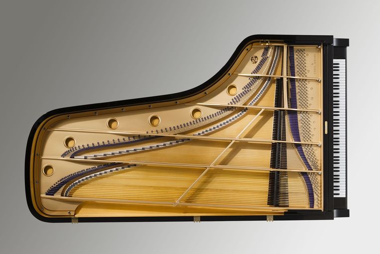 De nieuwe Barenboim-vleugel, die het beste van fortepiano en concertvleugel combineert. Beeld  