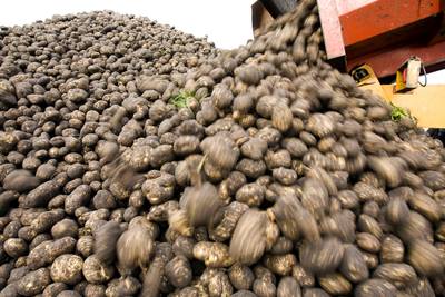 Niet alleen de buurt is tegen; ook de provincie ziet het plan voor enorme aardappelloods in De Morte
