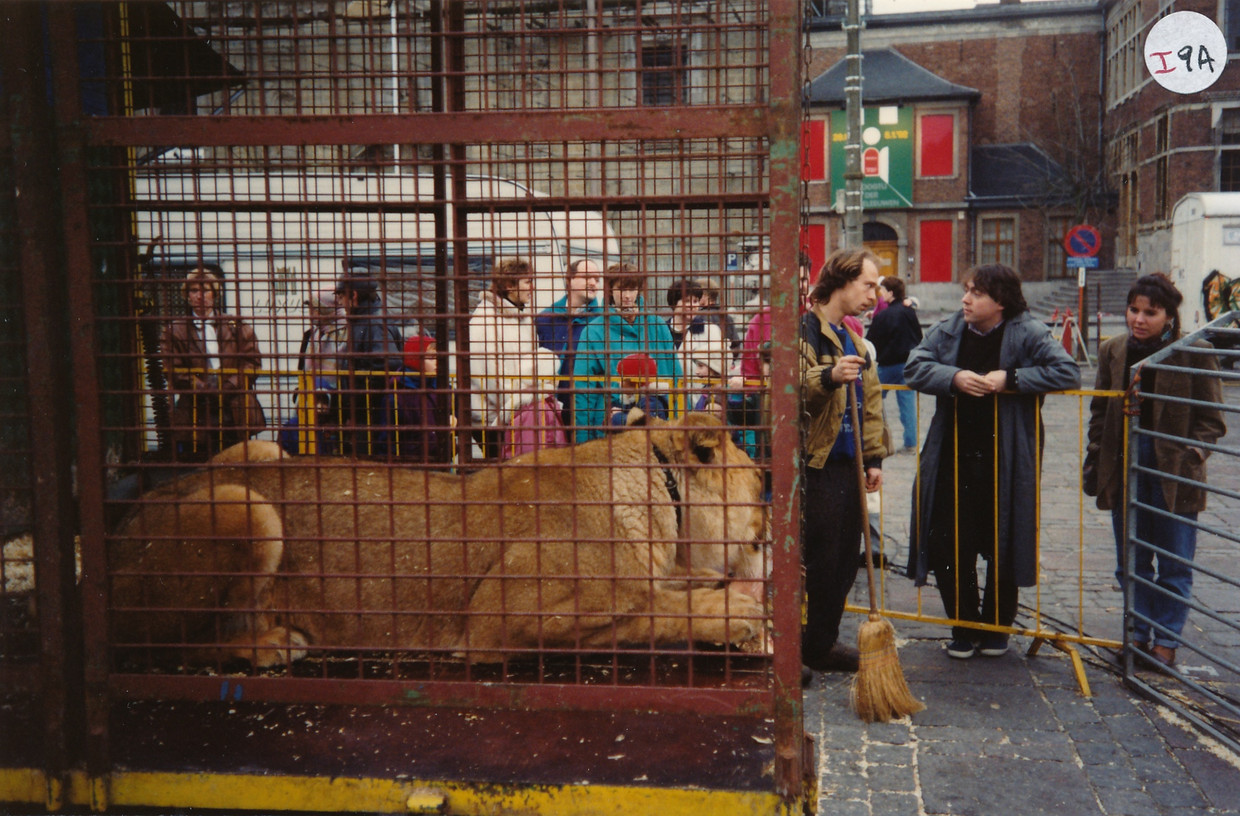 2003. Lancering van een campagne voor het verbod op circussen met wilde dieren.

 Beeld rv