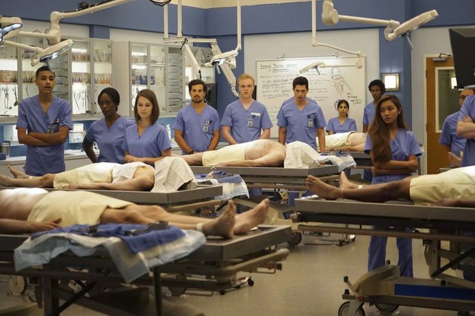 Een beeld uit de Amerikaanse tv-serie Grey's Anatomy, dat weinig verschilt van hoe de anatomielessen aan de Vlaamse universiteiten gebeuren.