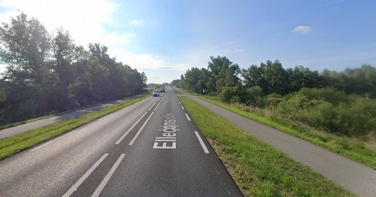 De Ellecomsedijk krijgt een middengeleider om het fietsers makkelijker te maken om over te steken - 