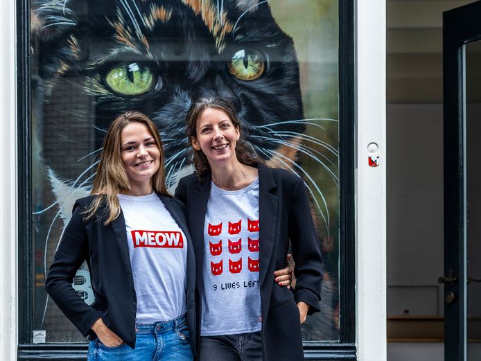 Kattenliefhebbers opgelet! Utrecht een Utrecht | AD.nl