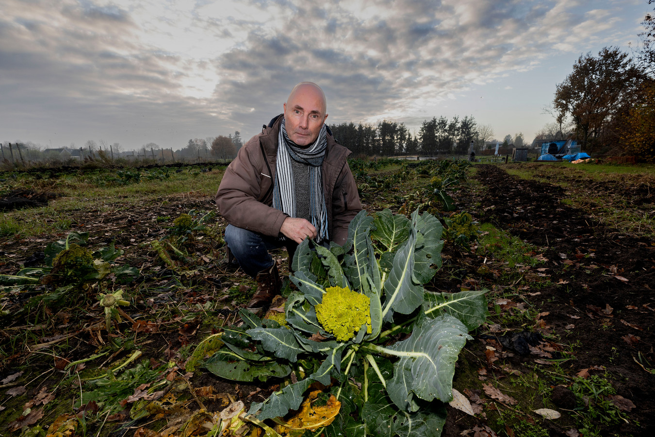 Op een hectare grond aan de Kapelweg in Best teelt Jan Vroomans sinds vorig jaar zo'n zeventig verschillende groenten. Niet enkel biologisch, maar biologisch-dynamisch.