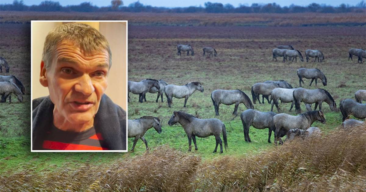 Facebook-bericht komt dierenactivist Bas duur te staan: 'Een schande!' - De Stentor