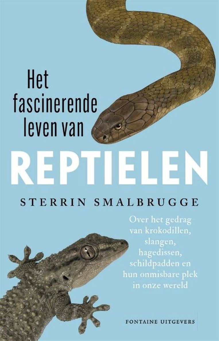 Het facinerende leven van reptielen van Sterrin Smalbrugge.  Beeld 